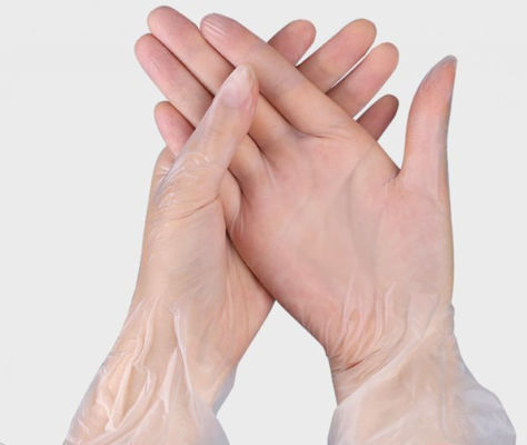 Storage Dry Place maintains disposable vinyl glove perfect household work for effective protection during cleaning tasks